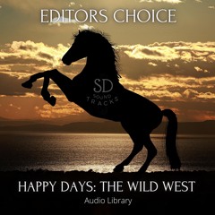 Library Audio Vol. 2 - 120 Tracks (Editors Choice)