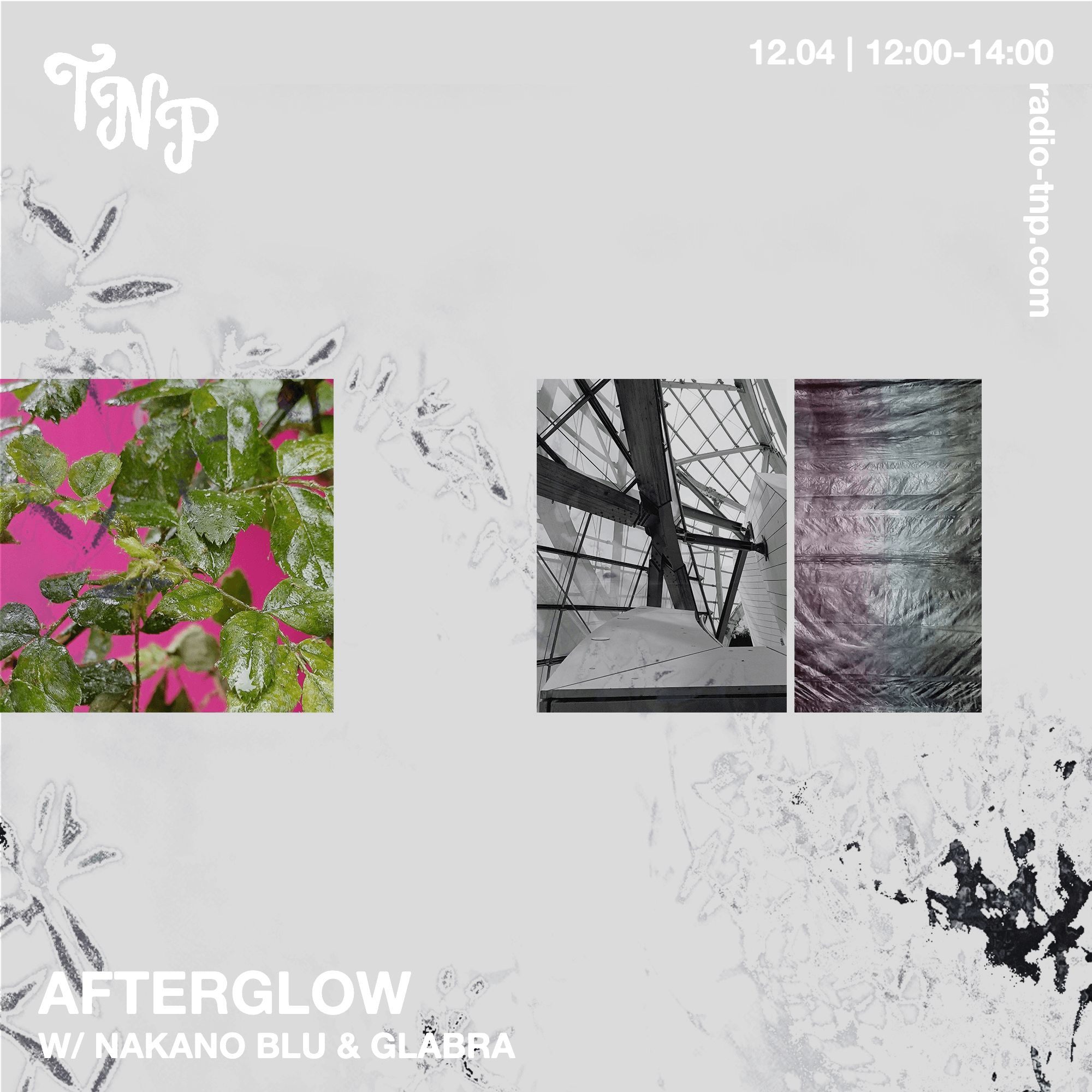 Afterglow w/ glabra