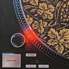 DIIRAC | Deep Minimal Vinyl Session 250530
