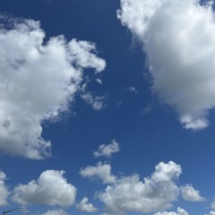 alito x soulking samples May 2025