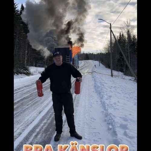 Trailerägar