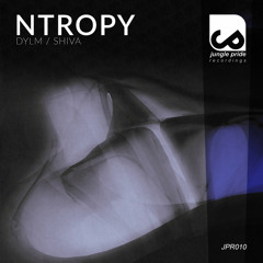 Ntropy - Shiva (Original Mix)