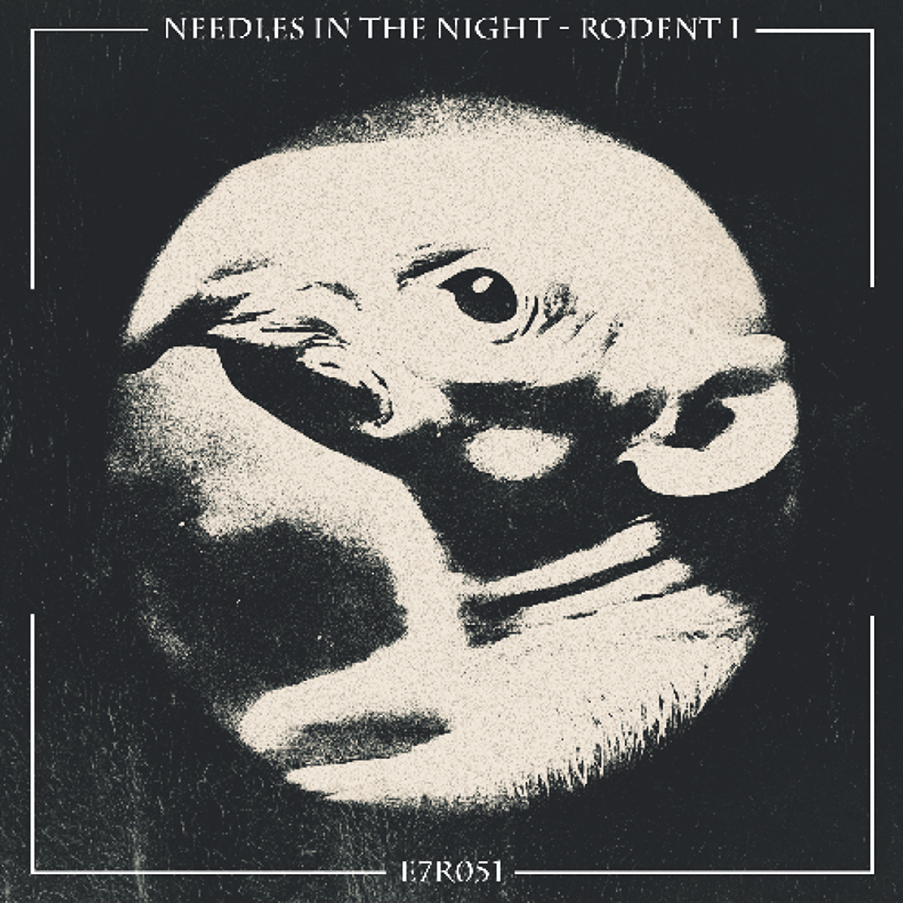 Needles In The Night - Rattus Norvegicus (Original Mix) [E7R051] episode artwork