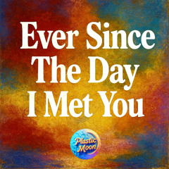Ever Since The Day I Met You
