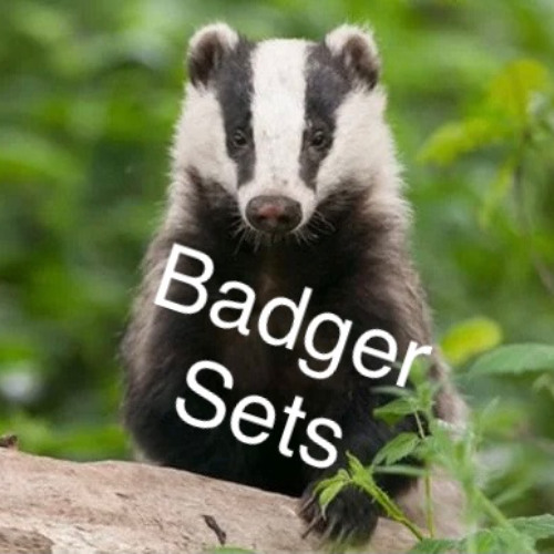 Badger Set 21