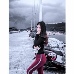 [MR PANDA] - SUNLIGHT MAHAL - #Req FdillahMR