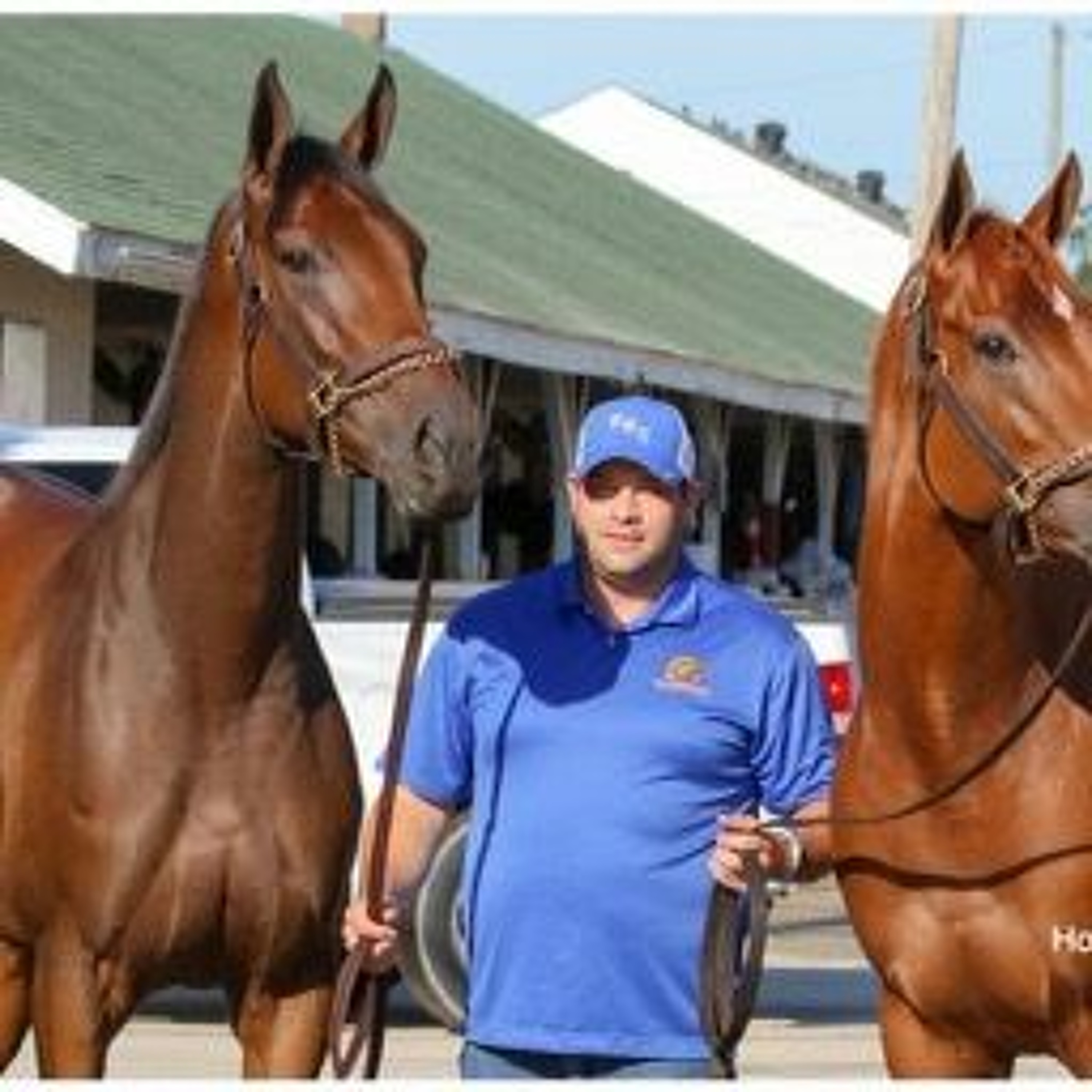 The Auxiliary Gate - Kentucky\'s Horse Racing Discussion