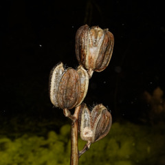 疲れた私、街.wav