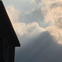 Suzanne (Rough Mix) - Leonard Cohen cover