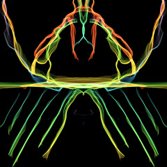 Perceptual Servitude