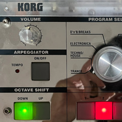 in da store (korg only)