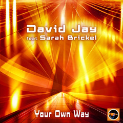 David Jay Feat Sarah Brickel - Your Own Way