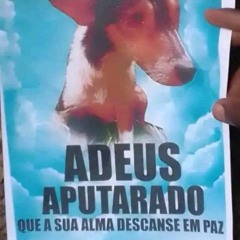Aputarado(Homenagem)-ti Toi e puto Paulo