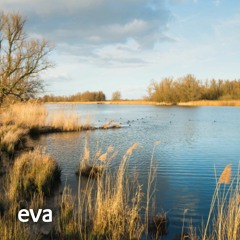 Meditatie bij het water
