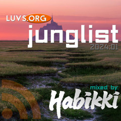 Luvs.org Sessions: [2024:01] Junglist