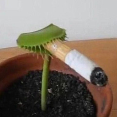 КруЭлла - Тампоны для Алёны (opiumcore remix) prod. by teiqol