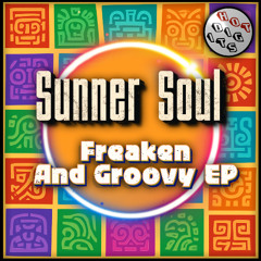 HOTDIGIT129 Sunner Soul - Freaken And Groovy (preview)