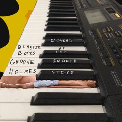 Groove Holmes by Beastie Boys [COVER]