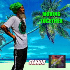 SENNID & JOSH GRENNAN BEATS MUSIC -  MOVING TOGETHER