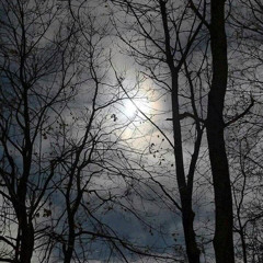 ice wld endless ft. d̴e̴e̴f̴r̴m̴d̴a̴9̴1̴8̴ x ?