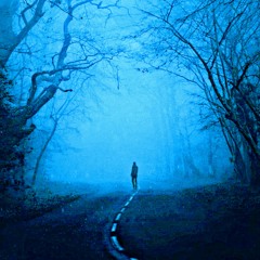 øneheart x reidenshi - snowfall (remake by Nesterian)