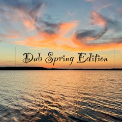 Robert Zawodny - Dub Spring Edition