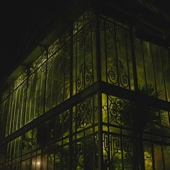 Le Chant du Palmarium - Extrait Le grillon et le pic