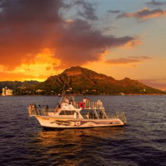 Review Special Price Three Star Deluxe Sunset Dinner And Show