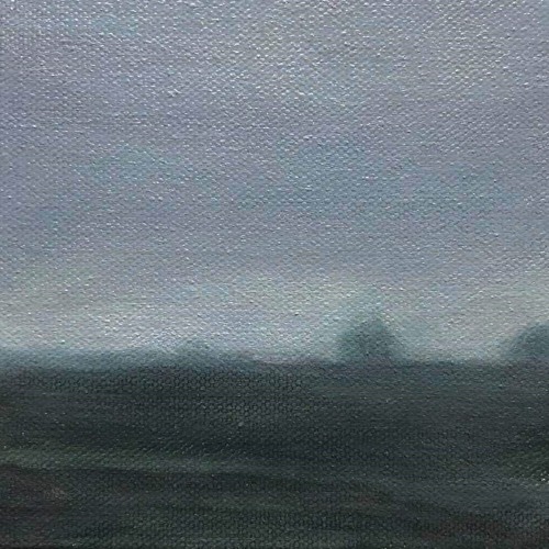 Short-Shadowed Cows