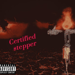 Certified Stepper-BEAT Prod Barragini-Yt-