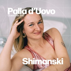 PDU Guest Mix 47 - Shimanski