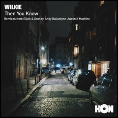 Wilkie - Then You Know [House of Now]