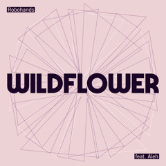 Wildflower (feat. Aleh)