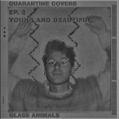 Glass Animals - Young and Beautiful (KD Remix)