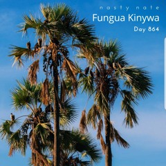 n a s t y  n a t e - Fungua Kinywa. Day 864 - AMAPIANO