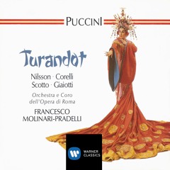 Turandot, Act 1: "Silenzio, ola!" (Le ancelle di Turandot, Coro, Calaf) [feat. Coro del Teatro dell'Opera di Roma, Franco Corelli, Franco Ricciardi, Guido Mazzini & Piero de Palma]