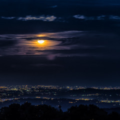 WhatsThatAbout [prod.Boyfifty]