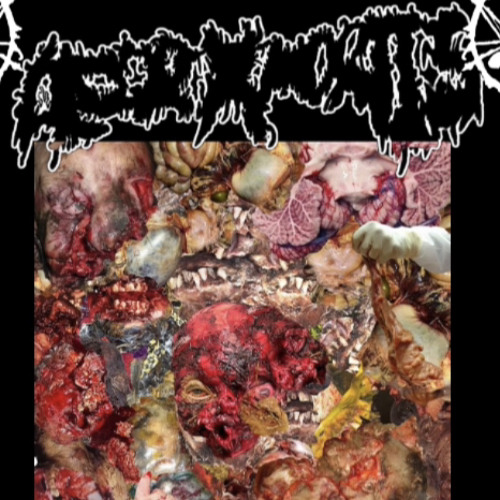 LETS GO ON A BOTTLE RUN ?