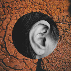 wlr177 Jolanda Moletta - Night Caves