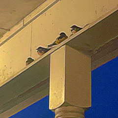 Zoning Out | prod. Max Chris x Jissa