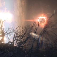 SANCTUARY SNIPPETS JUNE '24