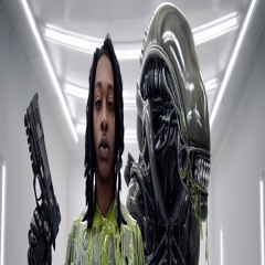 HappyDranker x NHG Rari - Playbook