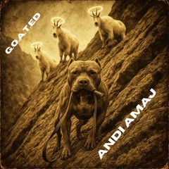 Him (Himalayan) remix.mp3