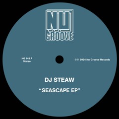 PREMIERE: DJ Steaw - Seascape