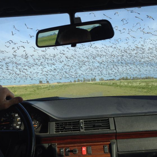 Rewind (daytime sketch)