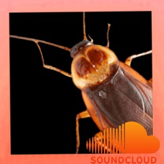 cockroaches.spain (playlist)
