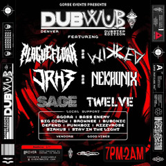 Quantum Rizzics (b2b Rizzy Rose Dub Wub 3/1/25)