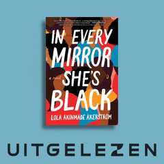 Dalilla Hermans over In Every Mirror She's Black van Lolá Ákínmádé Åkerström