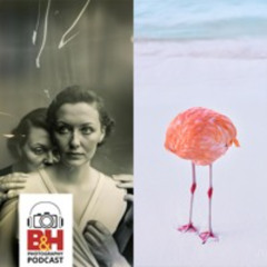 Authentic Photographs vs AI Generated Images, with Boris Eldagsen & Miles Astray