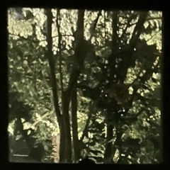 ether (disquiet0669)